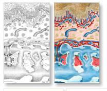 Anatomische Veränderungen Venensystem /  Strichgrafik schwarz-weiß und handcoloriert